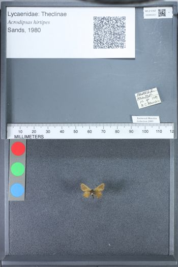 Media type: image;   Entomology 85051